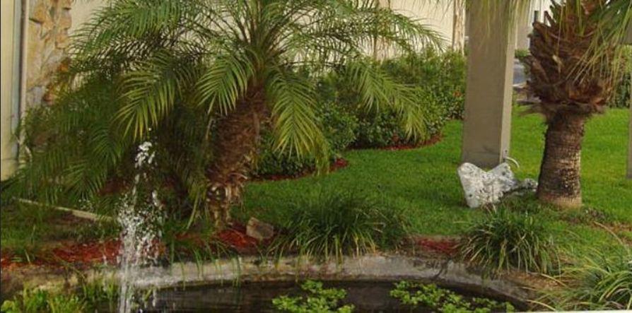 Budget Inn Of Winter Haven Esterno foto